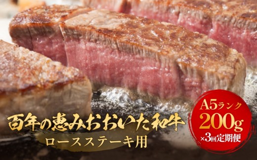 「百年の恵み おおいた和牛 」A5 ロースステーキ用 200g × 1枚 × 3ヶ月 定期便 おおいた和牛 ロースステーキ A5等級 黒毛和牛大分県産 牛肉 高級肉 霜降り 和牛ステーキ 風味豊か 脂質 種雄牛 血統 高評価 冷凍 2158382 - 大分県玖珠町