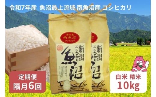 令和7年産 10kg 【隔月6回定期便】〈白米〉 精米したてのお米を2か月に1回お届け 魚沼最上流域 南魚沼産 コシヒカリ【湯沢産 コシヒカリ】