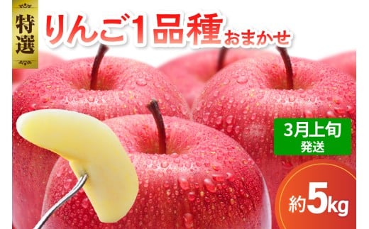 【2026年3月上旬発送】 【特選】 旬の美味しい りんご 約5kg 青森産 【おまかせ1品種】 1064426 - 青森県五所川原市