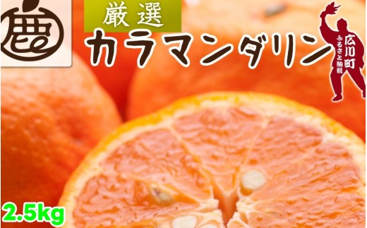 カラマンダリン 2.5kg+250g（痛み補償分） 厳選 / カラ カラオレンジ カラみかん 南津海 なつみ 高級 和歌山 有田 柑橘 晩柑 ※4月上旬～5月順次発送 ※北海道・沖縄・離島への配送不可 【ikd015-p-2d5A】 2169910 - 和歌山県広川町