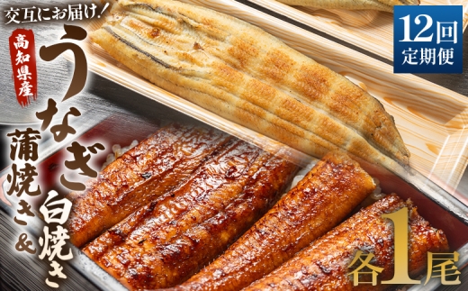 国産 うなぎ 定期便 12回 うなぎ蒲焼き&白焼き120g 1尾(無頭) 交互にお届け 魚介 国産 海鮮 魚 かばやき 鰻 ウナギ 惣菜 おかず お手軽 しらやき 加工品 加工食品 冷凍 Wun-0046 1891793 - 高知県香南市