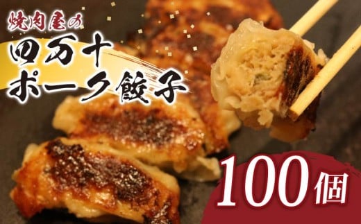 ヤマジュウの特選！四万十ポーク手作り餃子１００個