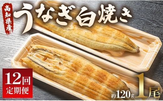 【12回定期便】 国産 うなぎ 白焼き 120g 1尾(無頭) うなぎ 魚介 国産 海鮮 魚 かばやき 鰻 ウナギ 惣菜 おかず お手軽 加工品 加工食品 冷凍 Wun-0034 1899422 - 高知県香南市