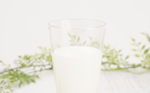 ひまわり牛乳 ひまわりコーヒー リープル 9本セット (各200ml×3本) パック牛乳 コーヒー牛乳 ソウルドリンク  
