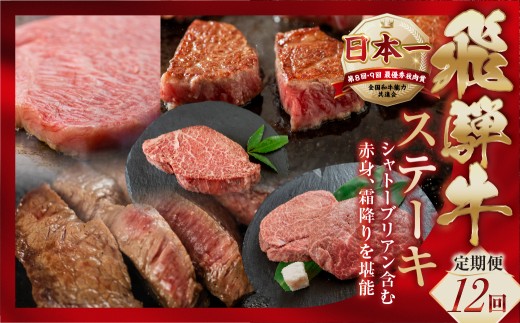 【定期便】A5 飛騨牛 ステーキ定期便 12回 12ヶ月 1年 赤身ステーキ サイコロステーキ サーロインステーキ シャトーブリアンステーキ ヒレステーキ 赤身 霜降り お楽しみ トキノ屋食品 本巣市 定期便 肉 お楽しみ 定期便 牛肉 人気  [mt352] 300000円 30万円