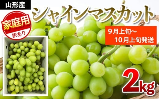 【ご家庭用】シャインマスカット 2kg入り 1箱 [前半] 【令和7年産先行予約】FU19-485 くだもの 果物 フルーツ 山形 山形県 山形市 2025年産