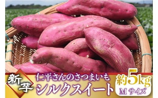 【2025年9月より順次発送】仁平さんの新芋シルクスイート 約5kg(Mサイズ・洗い)｜さつまいも サツマイモ さつま芋 いも シルクスイート 新芋 茨城県 行方市(CH-4) 2324360 - 茨城県行方市