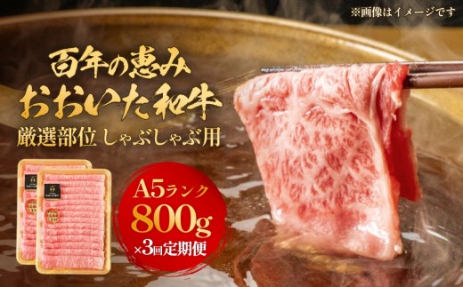 「百年の恵み おおいた和牛 」しゃぶしゃぶ用 800g × 3ヶ月 定期便 おおいた和牛 黒毛和牛 A5 等級 しゃぶしゃぶ用 牛肉 ロース 肩ロース もも 肩 部位 霜降り 血統 風味 脂肪 産地 九州 大分 肉 食材 グルメ 豊後牛 2158389 - 大分県玖珠町