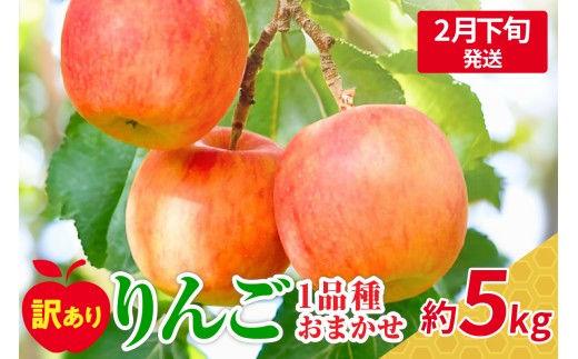 【2026年2月下旬発送】 【訳あり】 旬の美味しい りんご 約5kg 青森産 【おまかせ1品種】 1064451 - 青森県五所川原市