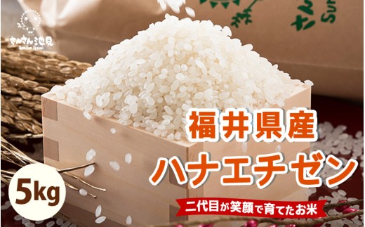 【先行予約】【令和7年産・新米】ハナエチゼン 5kg 華越前 ～坂井市三国町産・こだわりの精米対応～ （5分づき）【2025年8月下旬以降順次発送予定】 [A-0255_03]