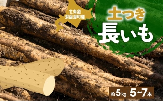 北海道産 青野農園 土つき 長いも 約5kg 5～7本 11月下旬～12月下旬ごろお届け ながいも 土付き 北海道 長芋 自然薯 とろろ いも イモ 旬 野菜 農作物 産地直送 お取り寄せ 送料無料