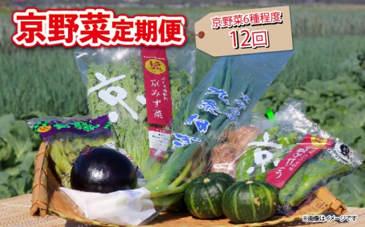 【 12回定期便 】 京野菜 野菜 6種 程度 定期便 12回 詰め合わせ 京都 野菜セット 季節 旬 栄養食 栄養野菜 九条ネギ 万願寺 賀茂なす 京都府産 数量限定 冷蔵 サラダ 健康 BBQ バーベキュー 健康食品 緑黄色野菜 美肌 美容 ふるさと納税 ギフト ギフト用 贈答 贈答用 贈答品 贈り物 お中元 お歳暮 サラダ 農家直送 産地直送 新鮮 人気 おすすめ リピーター
