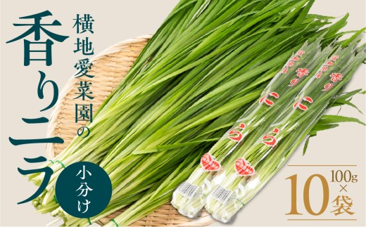 横地愛菜園の 香りニラ  100g小分け袋  ニラ 小分け 国産 100g  餃子 もつ鍋 野菜炒め に 野菜 旬 料理 葉物野菜 にら 愛知県 田原市 渥美半島