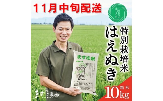 11月中旬配送／令和7年産【精米】　特別栽培米『はえぬき』 10kg(5kg×2袋)［減農薬・減化学肥料］ MA SD0201