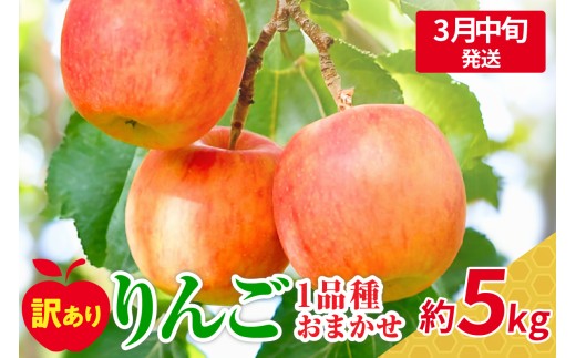 【2026年3月中旬発送】 【訳あり】 旬の美味しい りんご 約5kg 青森産 【おまかせ1品種】 1064453 - 青森県五所川原市