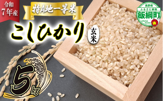 【 特A一等米 / コシヒカリ 】 玄米 こしひかり 5kg ( 令和7年産 ) ふるさと振興個社 沖縄県への配送不可 2025年11月上旬頃から順次発送予定 コシヒカリ 玄米 お米 信州 予約 農家直送 長野県 飯綱町 [1559] 881348 - 長野県飯綱町