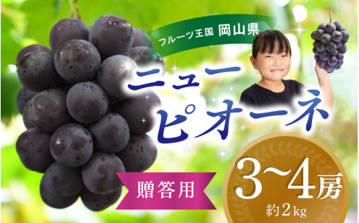 【2025年先行予約】ぶどう 岡山 花笑み農園『ニューピオーネ』約2kg（3～4房） hana06-2 贈答用 岡山 真庭 ピオーネ 高級 2kg 贈答 2025 真庭市 大粒 葡萄 果物 フルーツ 濃厚ピオーネ 人気 数量限定 2025年9月上旬～ 受付順に発送予定