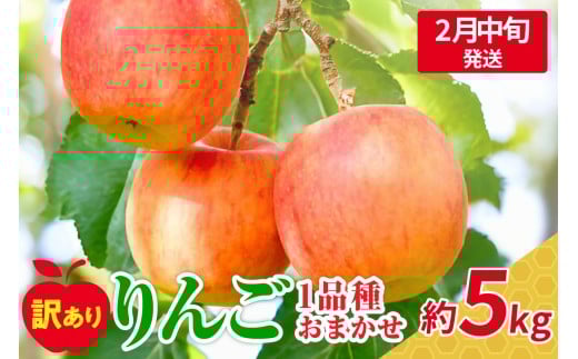 【2026年2月中旬発送】 【訳あり】 旬の美味しい りんご 約5kg 青森産 【おまかせ1品種】 1064450 - 青森県五所川原市