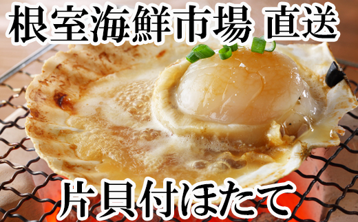 A-11121  ＼漁業者応援品／片貝ほたて10枚×2P 242743 - 北海道根室市