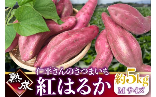 【2026年1月より順次発送】仁平さんの熟成紅はるか 約5kg(Mサイズ・洗い)｜さつまいも サツマイモ さつま芋 いも 紅はるか 熟成さつまいも 熟成 茨城県 行方市(CH-3) 2324359 - 茨城県行方市