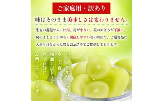 アイテムID:367682の画像2枚目