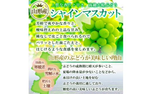 アイテムID:367682の画像4枚目