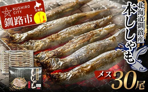本ししゃも メス30尾 釧路産 本ししゃも 魚 ししゃも プチプチたまごのメス 魚介 グルメ シシャモ 北海道産 国産 魚 魚介 海の幸 F4F-8437 2202642 - 北海道釧路市