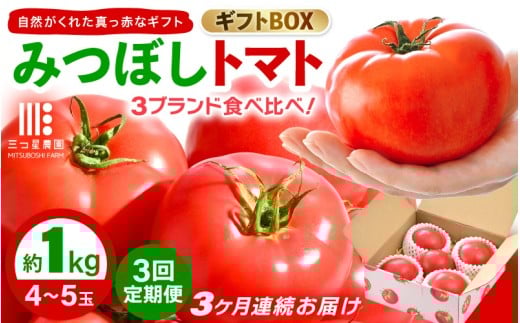 【期間限定】定期便 ≪3ヶ月連続お届け≫ みつぼしトマト☆3ブランド食べ比べ！ 約1kg × 3回 【とまと トマト 野菜 生野菜 新鮮 産地直送 贈答 ギフト 国産】 [A-2609] 959455 - 福井県坂井市