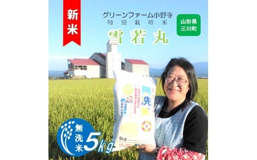 [無洗米]グリーンファーム小野寺の雪若丸5kg(令和7年産新米予約)