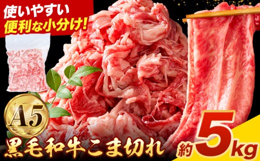 極上 厳選 黒毛和牛 こま切れ 約5kg 牛魔王デミート《30日以内に出荷予定(土日祝除く)》大阪府 羽曳野市 送料無料 牛肉 牛 和牛 小分け 1756063 - 大阪府羽曳野市