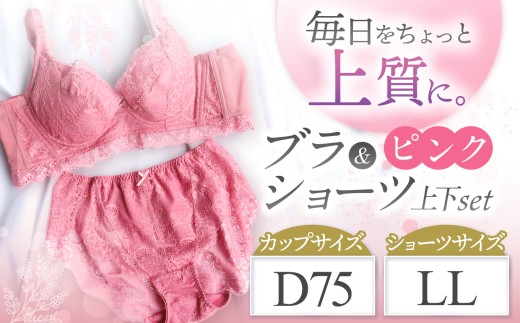 ブラ＆ショーツ 上下セット ピンク D75＆ショーツ LL | 女性用下着 レディース ブラ＆ショーツ ブラ ショーツ ピンク 上下セット 君津市 きみつ 千葉県 2281711 - 千葉県君津市