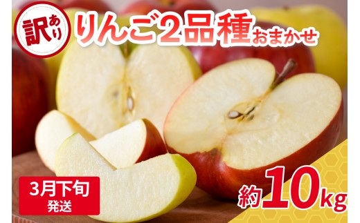 【2026年3月下旬発送】 【訳あり】 旬の美味しい りんご 約10kg 青森産 【おまかせ2品種】 