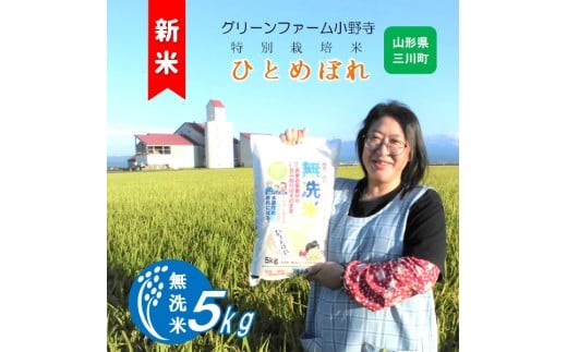 《無洗米》グリーンファーム小野寺のひとめぼれ5kg（令和7年産新米予約）