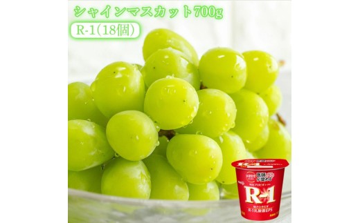 【ふるさと納税】【先行予約】【配送不可地域：北海道・沖縄県・離島】シャインマスカット700gと四国明治株式会社で作られた プロビオヨーグルトR-1　18個 2123706 - 香川県三豊市