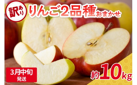 【2026年3月中旬発送】 【訳あり】 旬の美味しい りんご 約10kg 青森産 【おまかせ2品種】 