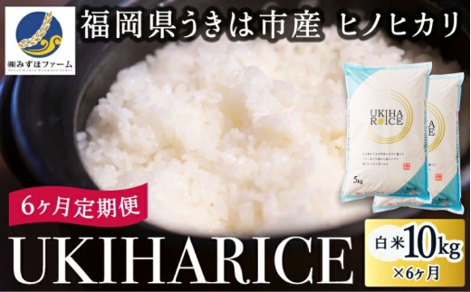 【6ヶ月定期便】みずほファーム UKIHA RICE (白米10kg×6ヶ月)  【2025年11月より順次発送予定】 米 ヒノヒカリ お米 ご飯 うきは市 1111944 - 福岡県うきは市