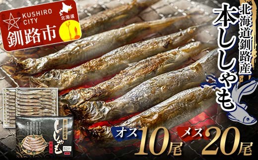 本ししゃも オス10尾・メス20尾 釧路産 本ししゃも 魚 ししゃも 魚好きのオス プチプチたまごのメス 魚介 グルメ シシャモ 北海道産 国産 魚 魚介 海の幸 F4F-8434 2202639 - 北海道釧路市