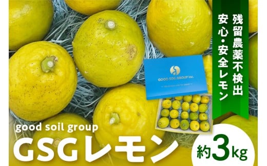 [2025年12月上旬〜発送]GSGレモン〜残留農薬不検出〜 約3kg ku175-001-25