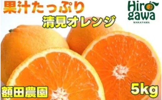 清見 オレンジ 5kg サイズ混合 光センサー / 清見オレンジ 清見タンゴール きよみ 清美 甘い 和歌山 柑橘※3月上旬～下旬に順次発送予定 ※北海道・沖縄・離島への配送不可 【nuk011-r-5A】 971474 - 和歌山県広川町