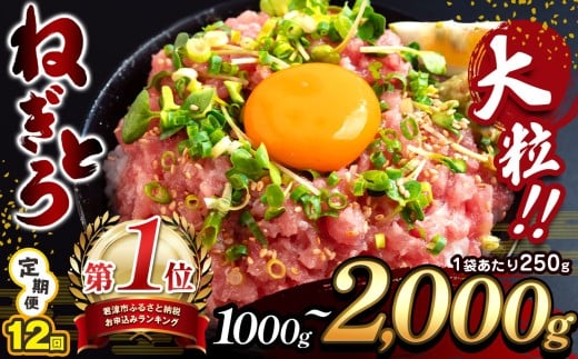 [ 12ヶ月 定期便 ] 清幸丸水産 大人気! ねぎとろ 1000g〜2000g(250g 小分け) | 1000g 1250g 1500g ネギトロ とろ 鮪 マグロ まぐろ たたき まぐろたたき 海鮮 海鮮丼 魚介 魚 人気 小分け 人気 定番 ご飯 オススメ 海鮮 海鮮丼 千葉県 君津市 きみつ 定期 12回