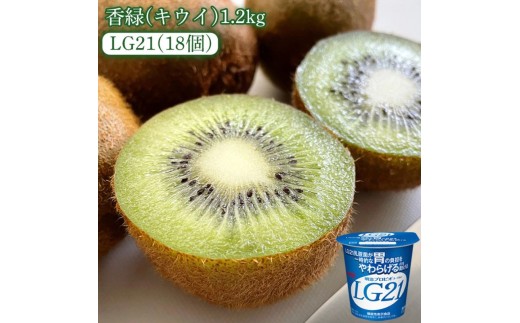 [ふるさと納税][先行予約][配送不可地域:北海道・沖縄県・離島]香緑(キウイ)1.2kg(化粧箱)と四国明治株式会社で作られた プロビオヨーグルトLG21 18個
