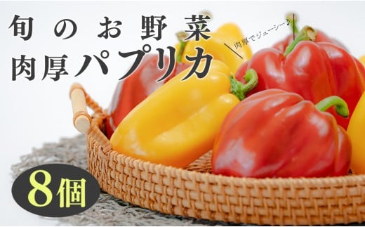 【高知県 大月町産】田村農園の肉厚パプリカ　8個 790843 - 高知県大月町