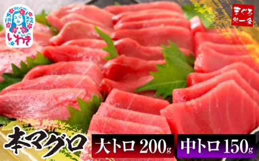 【年末配送12/24～31着日】本マグロ 大トロ 中トロ セット 350g 日時指定可能 | 鮪 本鮪 本まぐろ マグロ トロ とろ 刺し身 さしみ さかな 海鮮 寿司 解凍レシピ付 1サクずつ真空包装 発送時期が選べる 冷凍・指定日着可 2292753 - 福島県いわき市