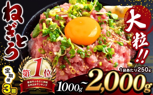 [ 3ヶ月 定期便 ][選べる容量] 清幸丸水産 大人気! ねぎとろ 1000g〜2000g(250g 小分け) | 1000g 1250g 1500g ネギトロ とろ 鮪 マグロ まぐろ たたき まぐろたたき 海鮮 海鮮丼 魚介 魚 人気 小分け 人気 定番 ご飯 オススメ 海鮮 海鮮丼 千葉県 君津市 きみつ 定期 3回