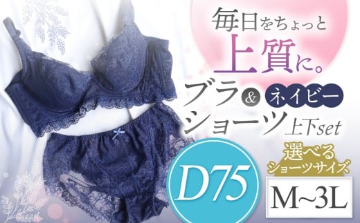選べるショーツサイズ ブラ&ショーツ 上下セット ネイビー D75&ショーツ M〜3L | 女性用下着 レディース ブラ&ショーツ ブラ ショーツ ネイビー 上下セット 君津市 きみつ 千葉県