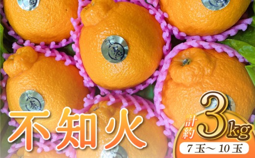 先行予約 不知火 約3kg 2026年2月下旬から2026年4月上旬発送予定 しらぬい 蜜柑 熊本県産 九州産 国産 坂下園 334573 - 熊本県宇城市