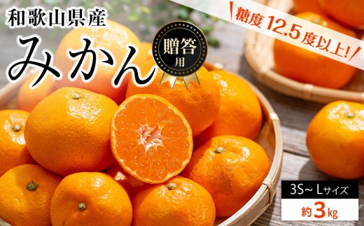 和歌山県産 糖度 12.5度以上 秀品 贈答用 みかん 5kg 3S~L サイズ混合 【NY2】 1305425 - 和歌山県和歌山市
