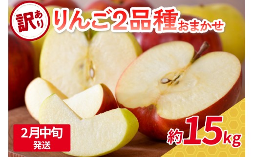 【2026年2月中旬発送】 【訳あり】旬の美味しいりんご 約15kg 青森産 【おまかせ2品種】 1064466 - 青森県五所川原市