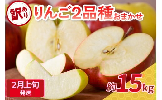【2026年2月上旬発送】 【訳あり】旬の美味しいりんご 約15kg 青森産 【おまかせ2品種】 1064465 - 青森県五所川原市