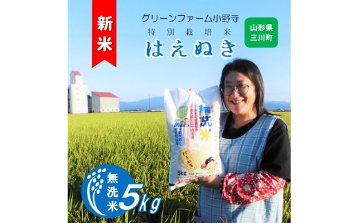 [無洗米]グリーンファーム小野寺のはえぬき5kg(令和7年産新米予約)